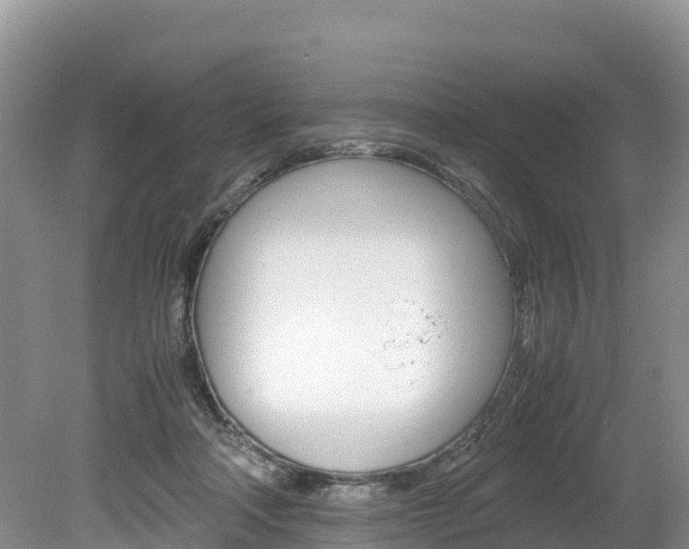 X0000080110314200612081002