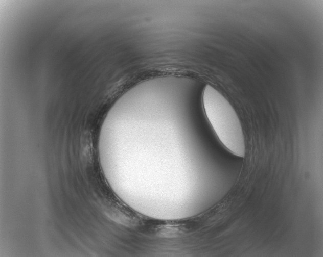 X0000080110320200612081002