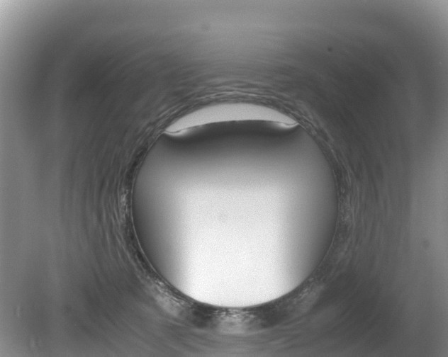 X0000080110321200612081002