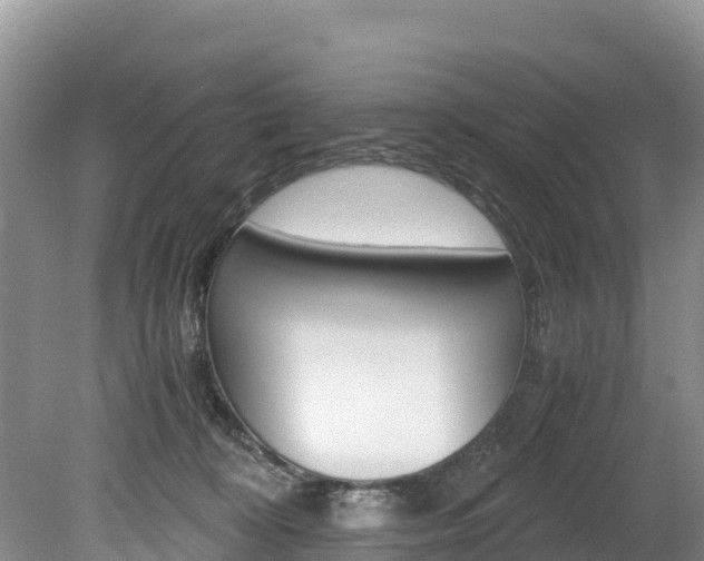 X0000080110324200612081002