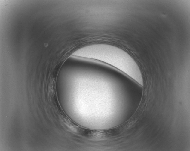 X0000080110325200612081002