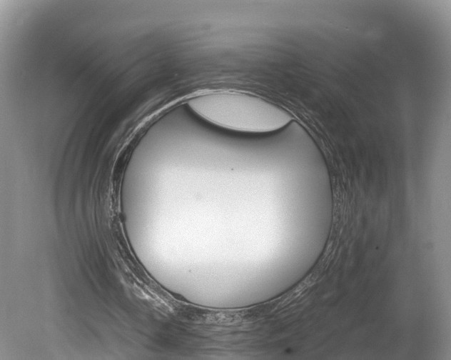 X0000080110338200612081001