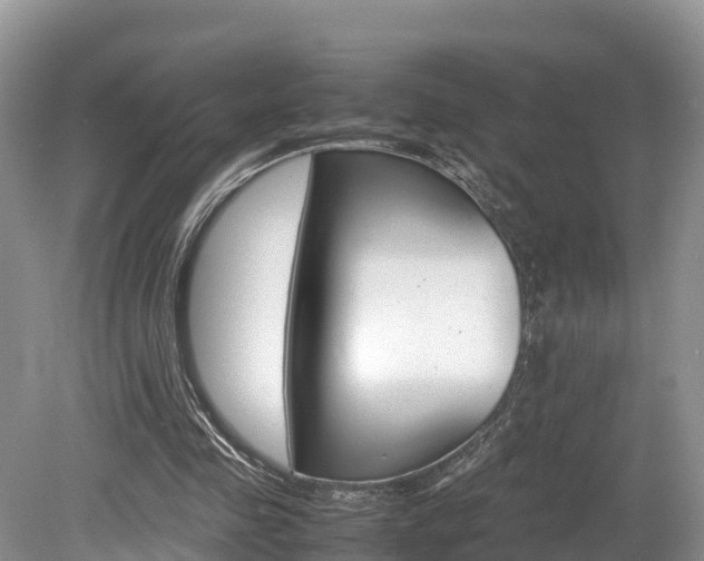 X0000080110341200612081001