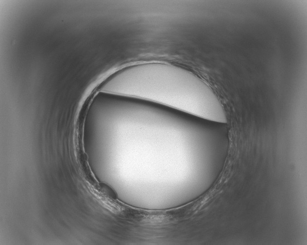 X0000080110342200612081001