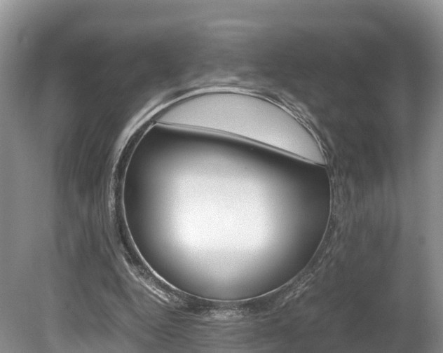 X0000080110344200612081001