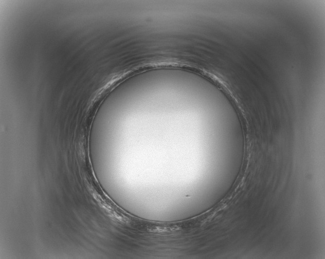 X0000080110345200612081001