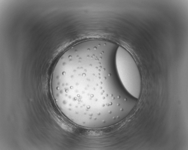 X0000080110346200612081001