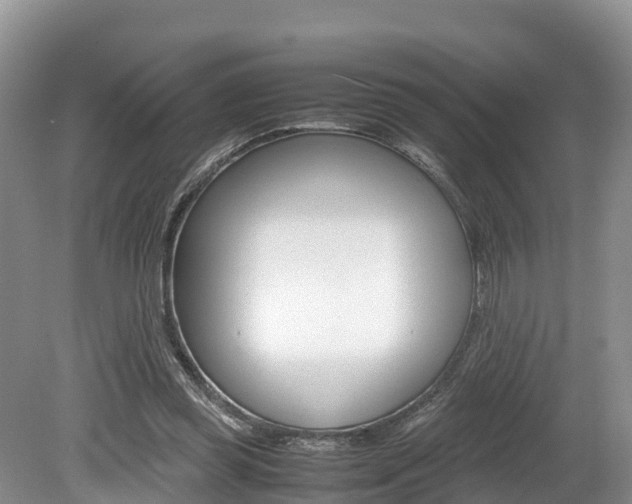 X0000080110349200612081001