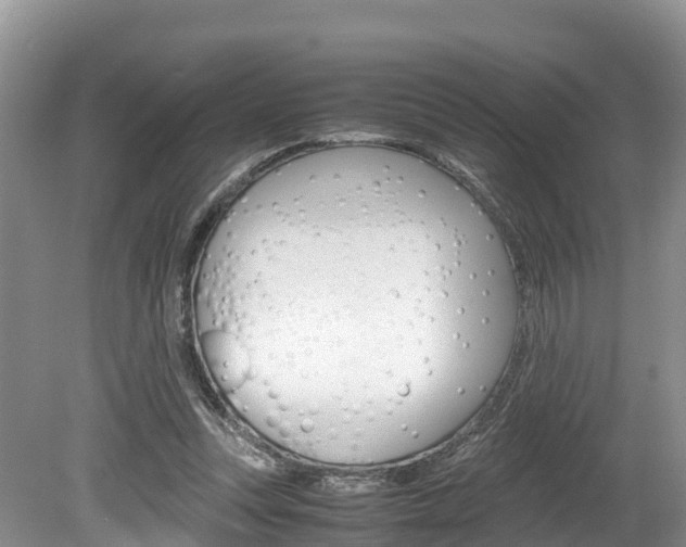 X0000080110351200612081001