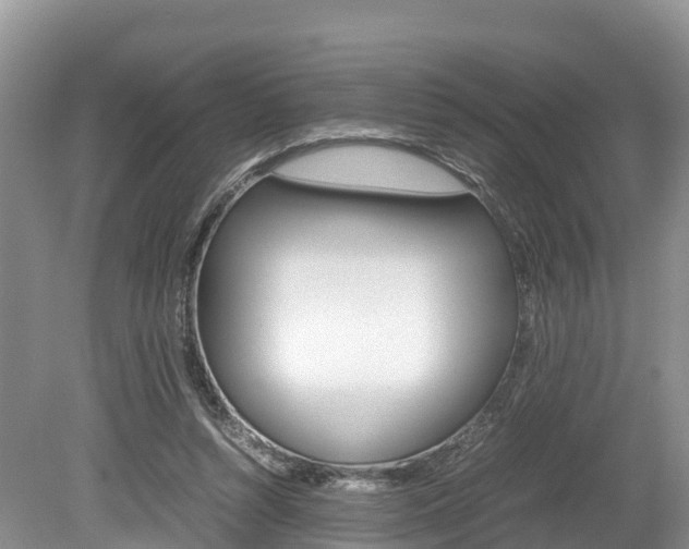 X0000080110352200612081001