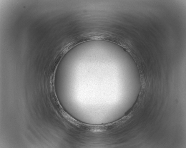 X0000080110360200612081001