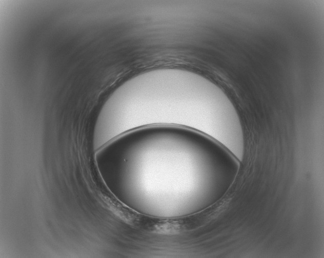 X0000080110362200612081001