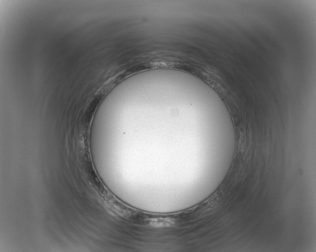 X0000080110363200612081001