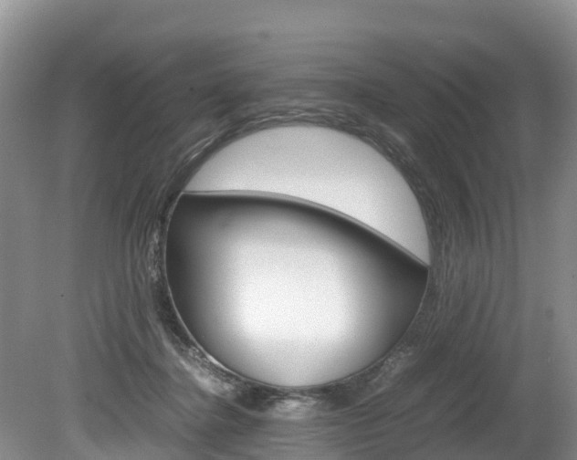X0000080110364200612081001