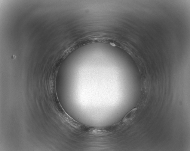 X0000080110372200612081001