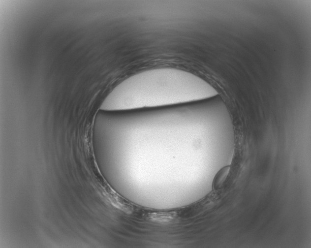 X0000080110373200612081001