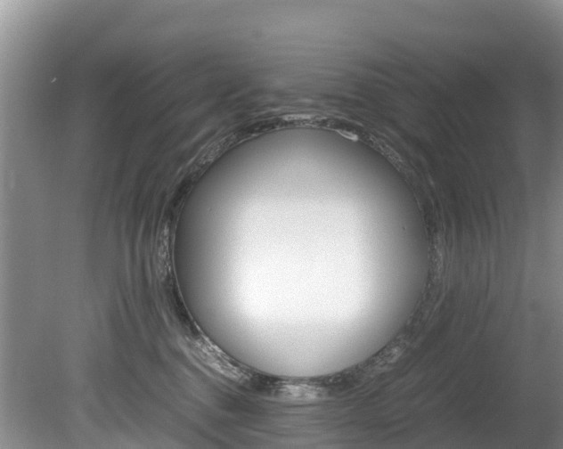 X0000080110376200612081001
