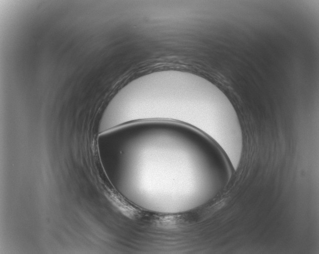X0000080110382200612081001