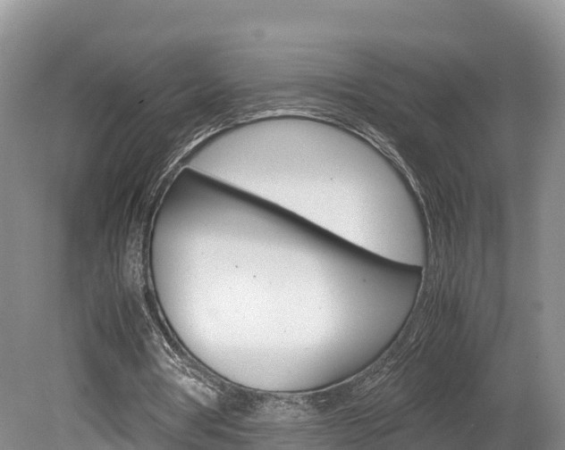 X0000080110386200612081001