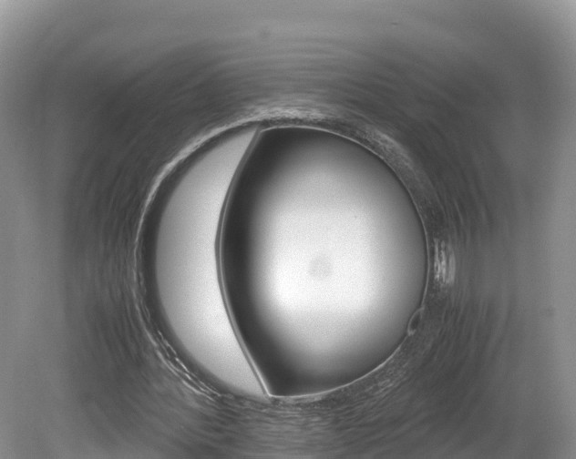 X0000080110388200612081001