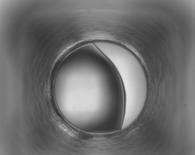 X0000080110391200612081000