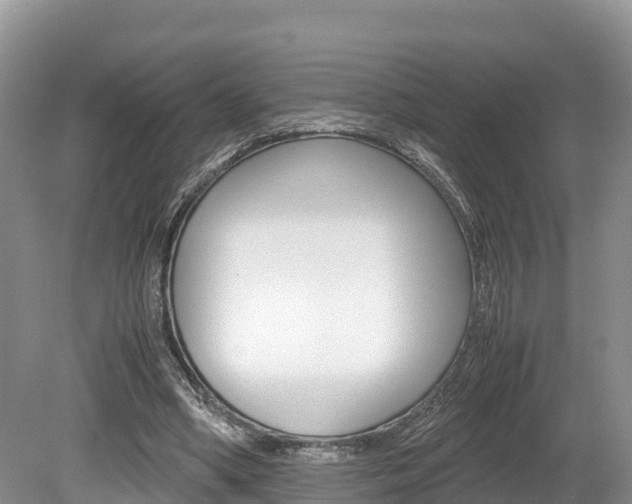 X0000080110394200612081000