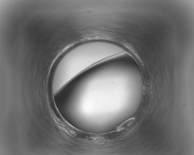 X0000080110395200612081000