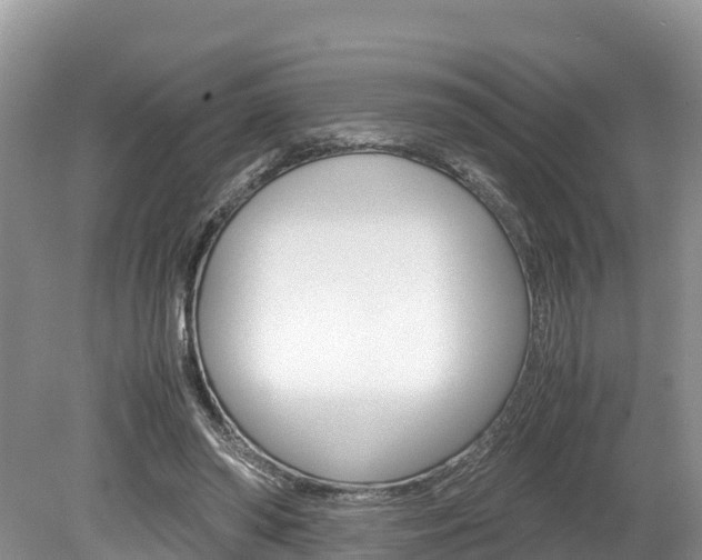X0000080110398200612081000