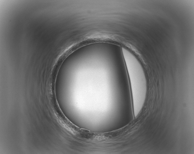 X0000080110399200612081000