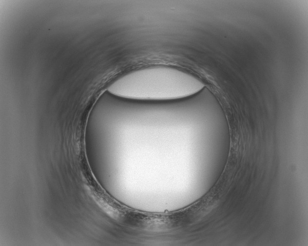 X0000080110402200612081000