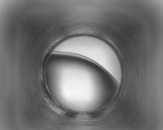 X0000080110403200612081000