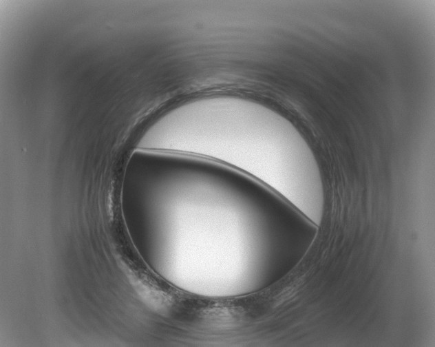 X0000080110404200612081000