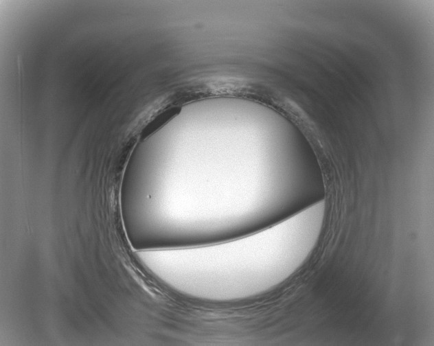 X0000080110405200612081000