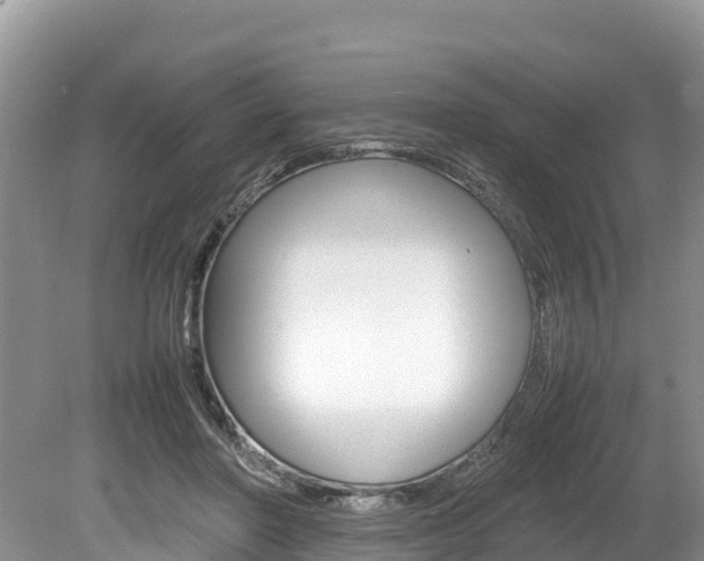 X0000080110406200612081000