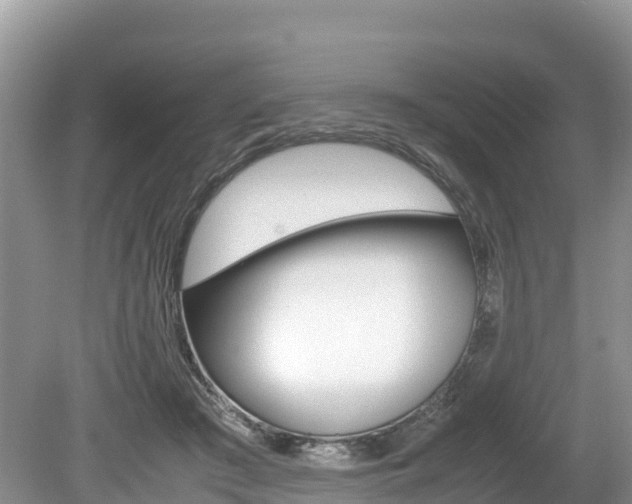 X0000080110409200612081000