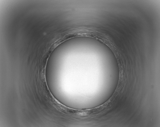 X0000080110411200612081000