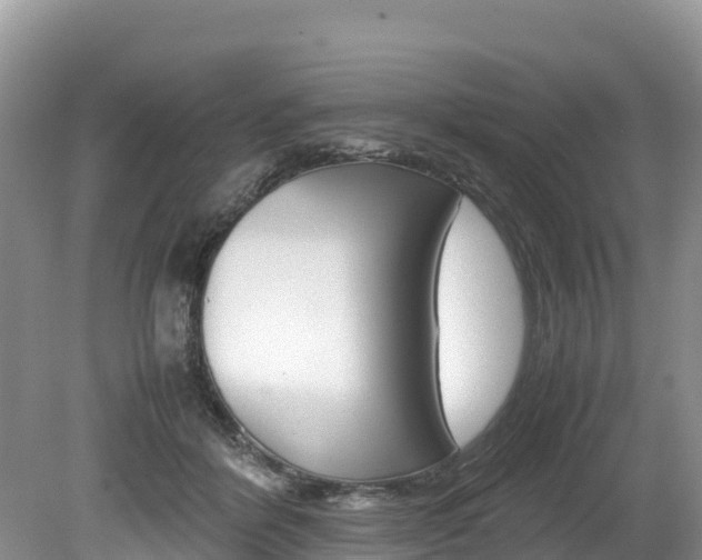 X0000080110412200612081000