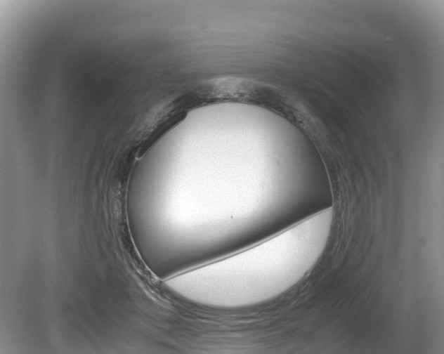 X0000080110413200612081000