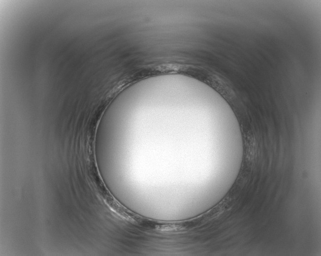 X0000080110414200612081000