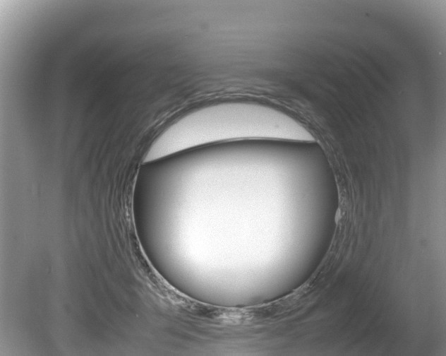 X0000080110415200612081000