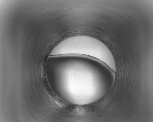 X0000080110416200612081000