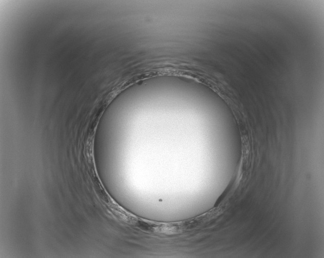 X0000080110419200612081000