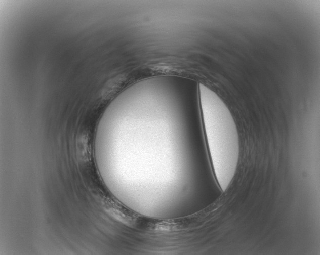 X0000080110420200612081000