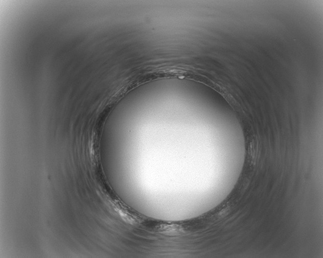 X0000080110424200612081000