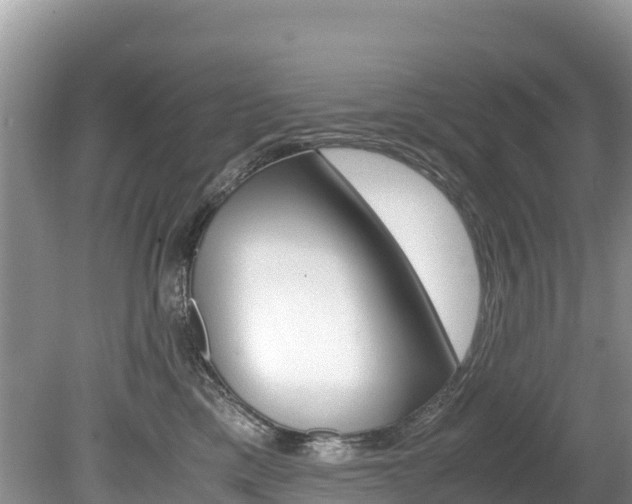 X0000080110425200612081000