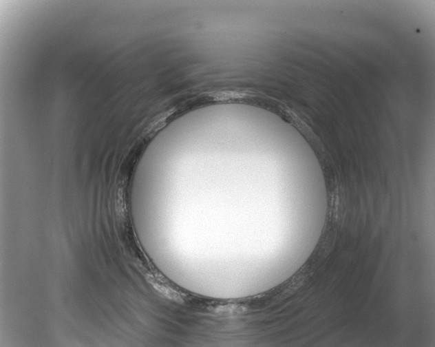X0000080110426200612081000