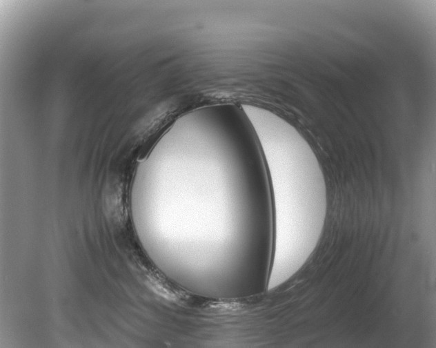 X0000080110428200612081000