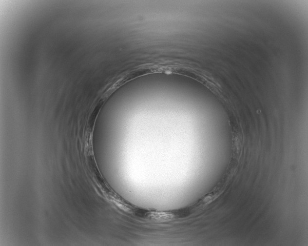 X0000080110429200612081000