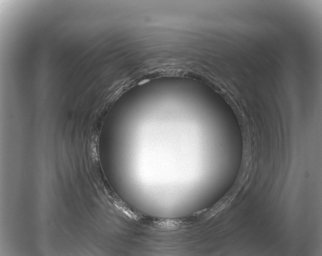 X0000080110432200612081000