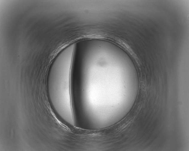 X0000080110433200612080959